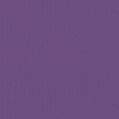 Unicolour Purple