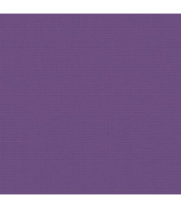 Unicolour Purple