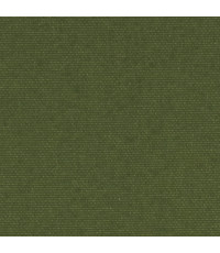 Palette Forest Green