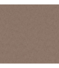 Palette Taupe 